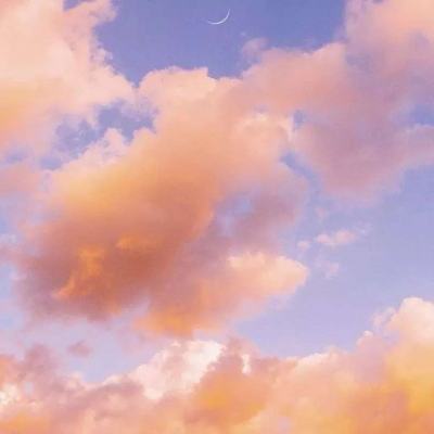 半导综合体育下载